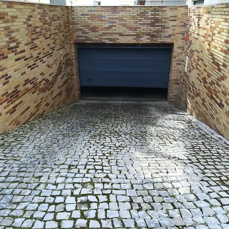 Casa Palmeira Daire *